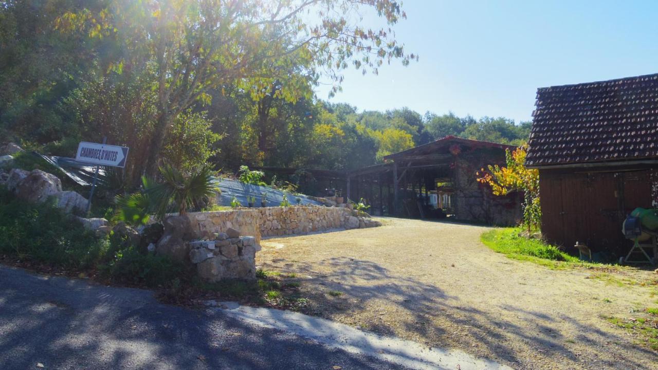 Zen Bed & Breakfast Domme Exterior photo